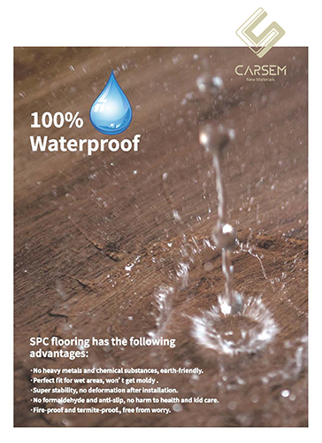 CARSEM-SPC-BROCHURE-BROCHURE-2025