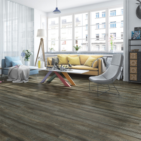 CMP1003 WPC ішкі еден